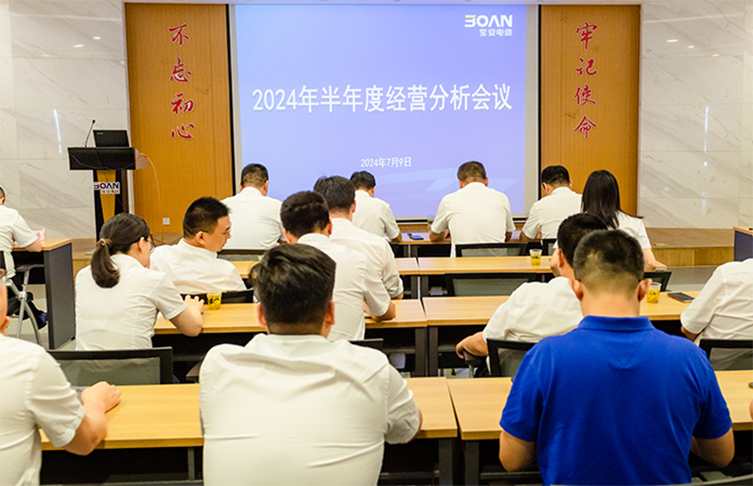 江蘇寶安控股集團(tuán)召開2024年半年度經(jīng)營分析會(huì)議